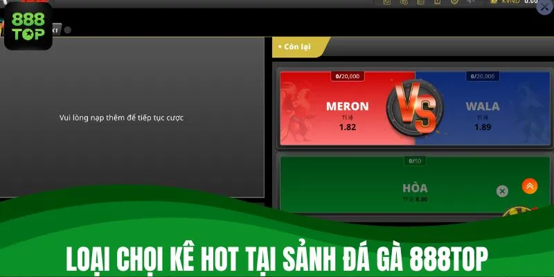 Loại chọi kê hot tại sảnh đá gà 888TOP