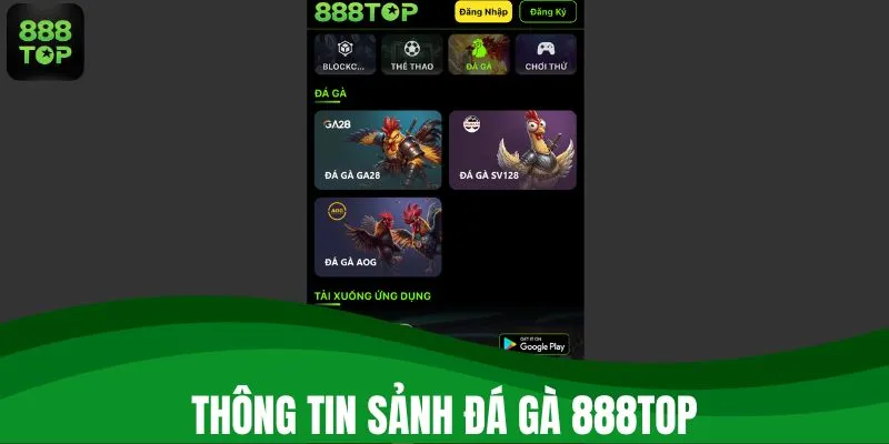 Thông tin sảnh đá gà 888TOP