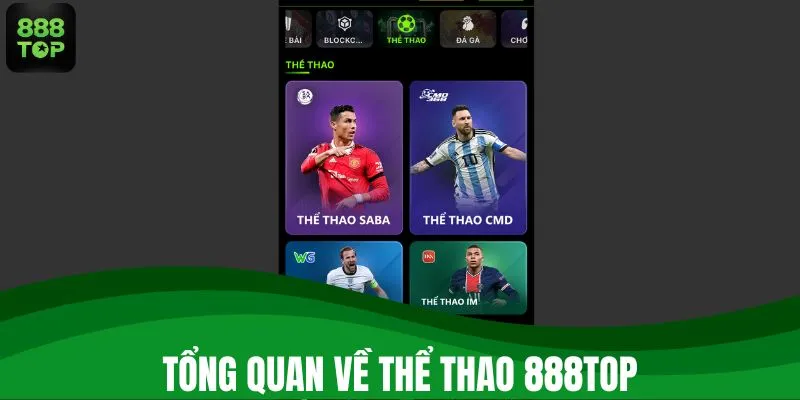 Tổng quan về thể thao 888TOP